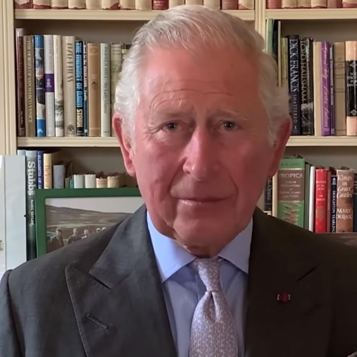 Prinţul Charles vine în România