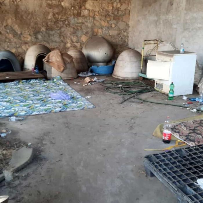 Cinci români care trăiau într-un adăpost de câini din Verona, evacuați de poliție. Consilier: "O situație la limita degradării"
