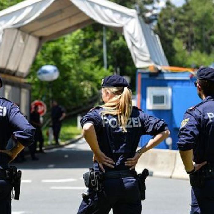 Austria. Mamă româncă, oprită de polițiști după ce a fost văzută că butona telefonul: Copilul nu era asigurat, iar mașina avea defecțiuni grave