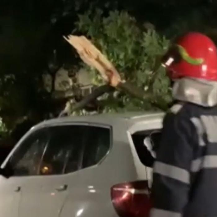 Urgia a lovit România. Copaci căzuți pe mașini, furtuni extreme. Foto