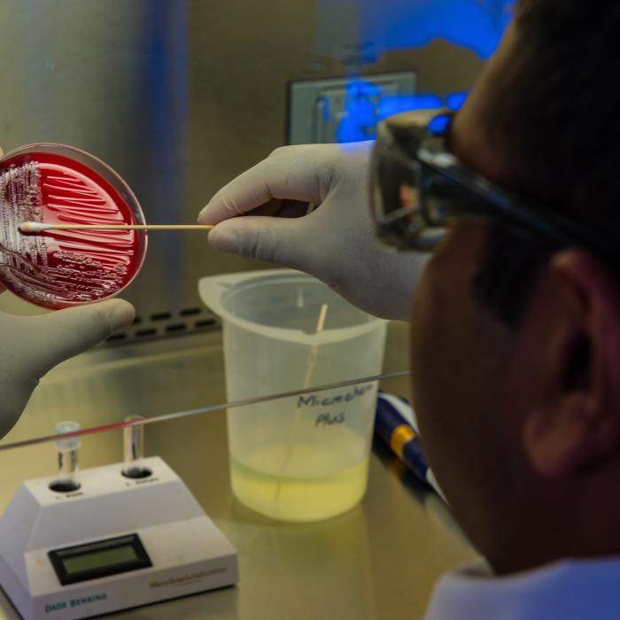 Bacterie record descoperită. Aceasta are dimensiunea și forma unei gene umane