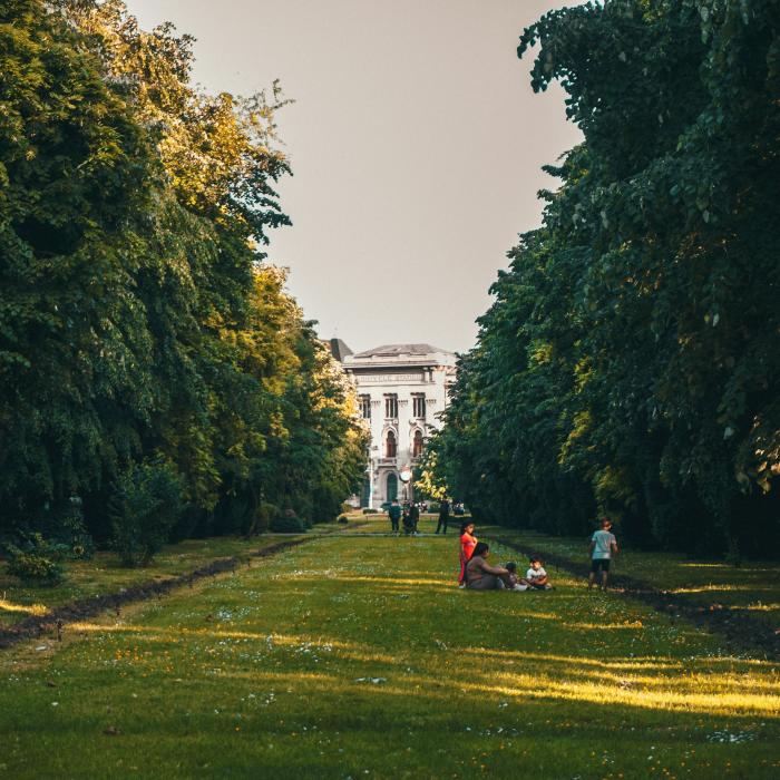 Micutzu, mesaj ironic către Nicușor Dan despre îngrijirea copacilor din București: „Chiar o treabă bună!”  VIDEO