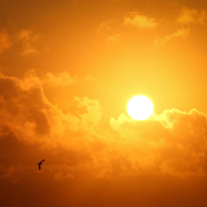 Avertizare de "caniculă periculoasă" în Marea Britantie. Met Office: "Îmbolnăviri grave sau pericol la adresa vieţii"