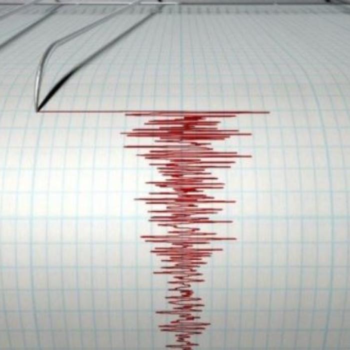 Cutremur cu magnitudinea de 4,2, produs, sâmbătă dimineața, în România
