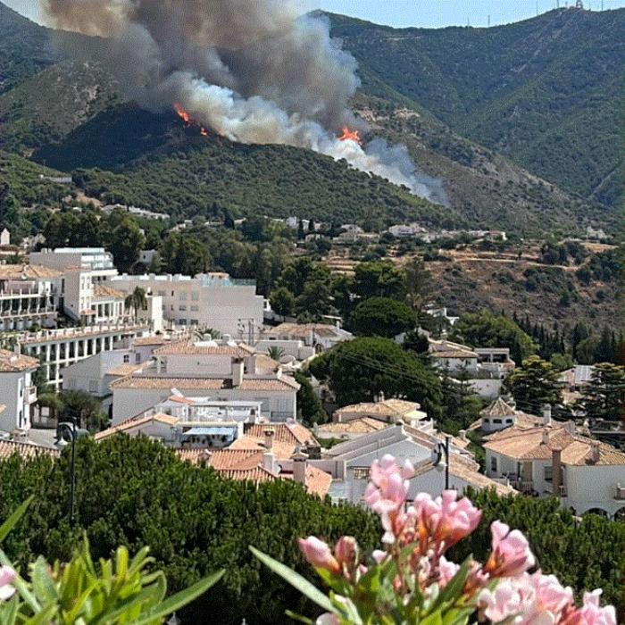 Val de căldură în Spania, cu 84 de victime în doar 3 zile și zeci de incendii. Premierul Sanchez: „Nivel extrem de risc” 