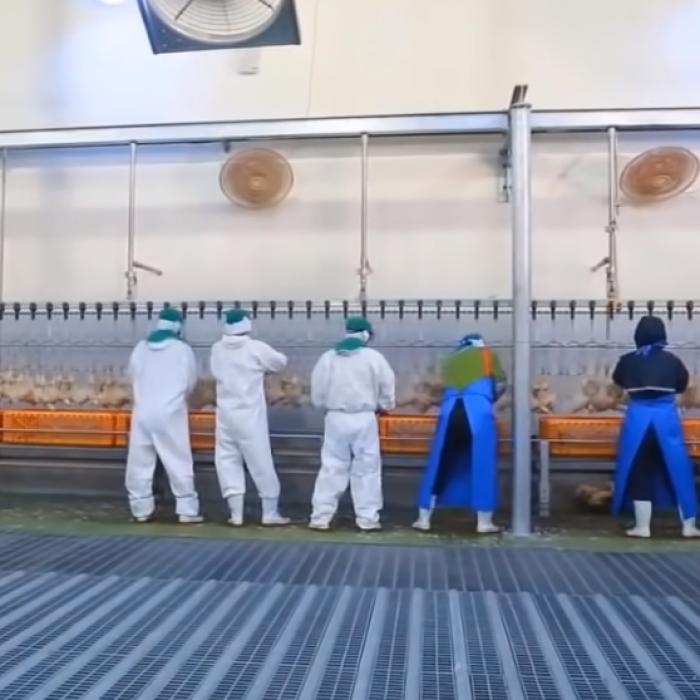 Dreptul la concediu în Germania. Câte zile îți poți lua dacă lucrezi pe jumătate de normă 