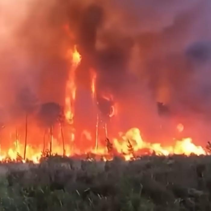 Incendiile distrug o importantă zonă din Grecia. Peste 300 de pompieri, mobilizați 