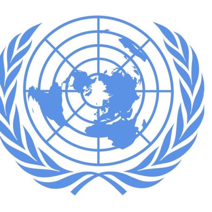 Consiliul de Securitate al ONU condamnă executarea a patru militanţi ai opoziţiei în Myanmar
