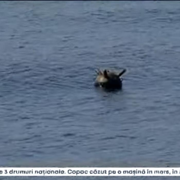 MApN: Mina marină din raionul maritim Eforie a fost distrusă