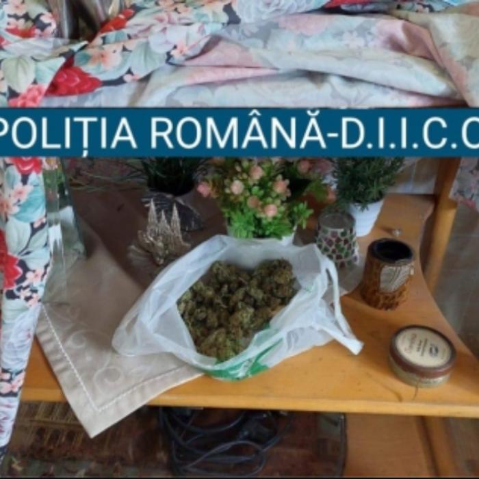 Colet din Spania ce conținea droguri pentru consumatorii din București, interceptat de polițiști