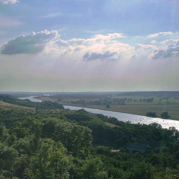 Alertă în Germania: Numeroşi peşti descoperiţi morţi în râul Oder