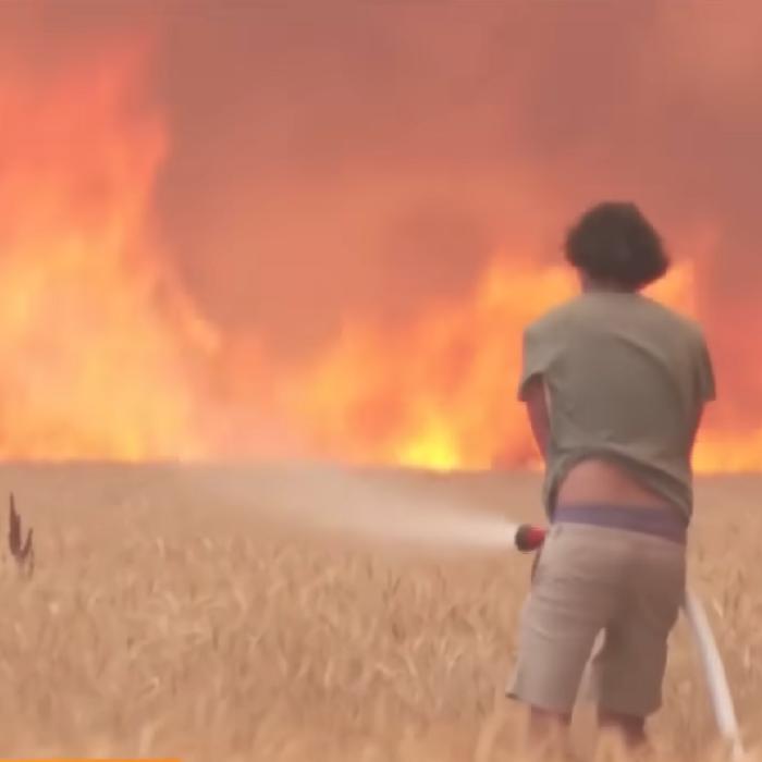 Stare de alertă în Portugalia, din cauza incendiilor de vegetație. A fost restricționat accesul în păduri