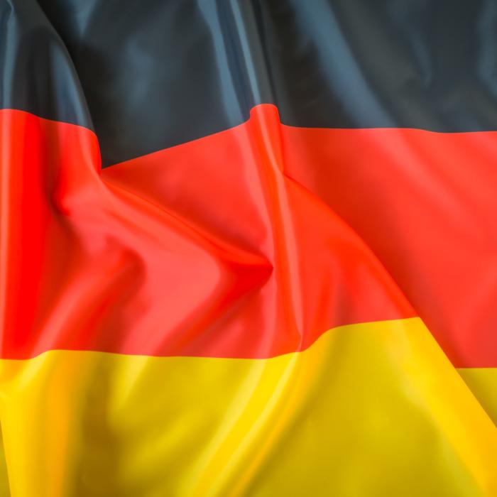 Germania urmează să furnizeze Ucrainei armament în valoare de 500 de milioane de euro