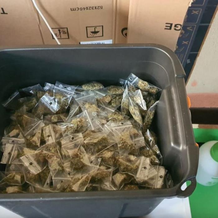 Două kilograme de heroină, găsite îngropate la rădăcina unui copac. Patru persoane, reţinute