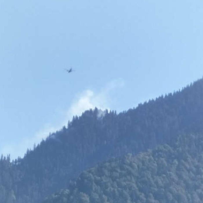 Incendiu într-o pădure din Munţii Maramureşului: Ministerul Apărării a trimis un avion