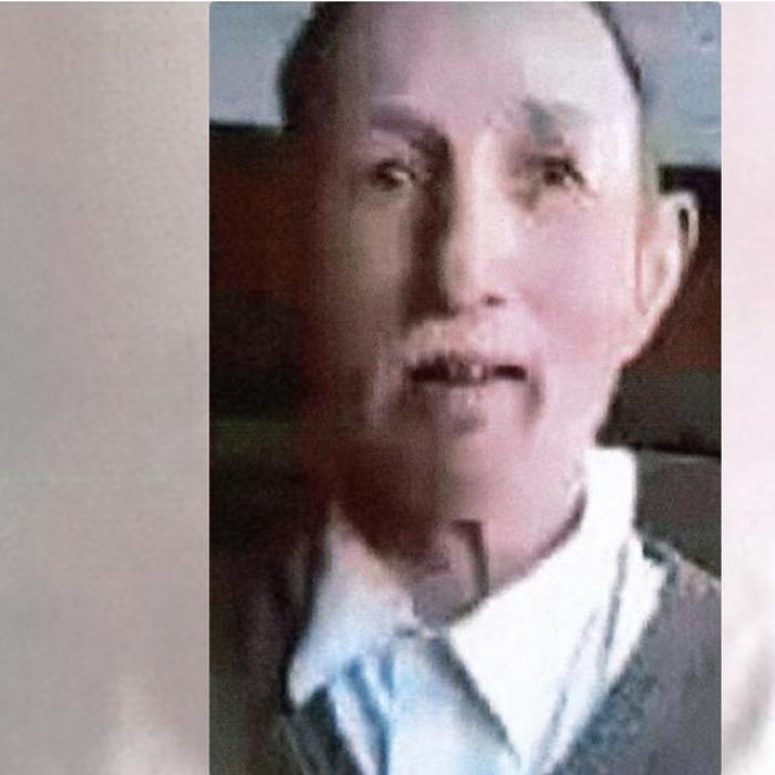 Român de 63 de ani, dat dispărut în Olanda: Anton a dispărut de joia trecută