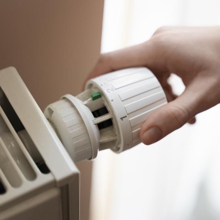 UE va recupera profiturile firmelor energetice în loc să plafoneze prețul gazelor rusești