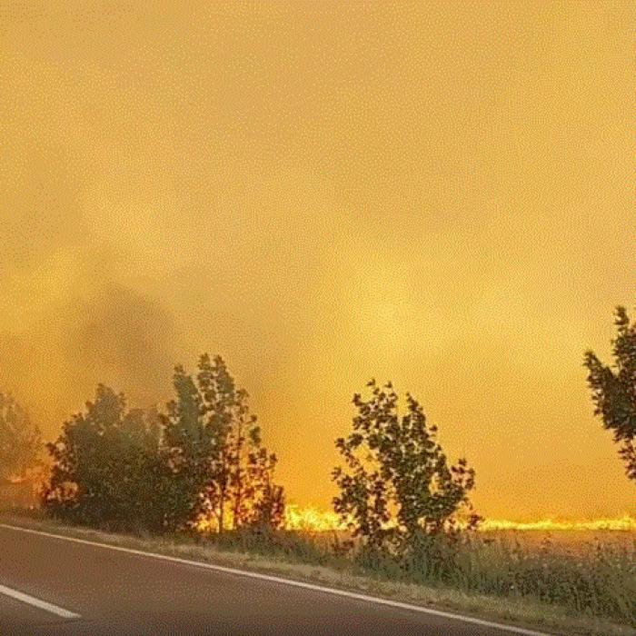 Franța. Incendiile din vară au pârjolit 65.000 de hectare, de şase ori suprafaţa Parisului; 48 de persoane au fost arestate