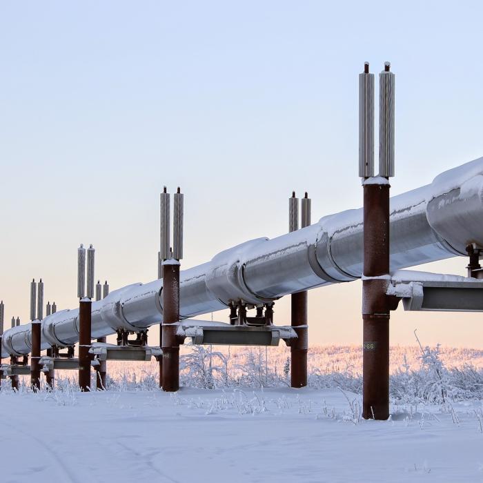 Ce sunt gazoductele Nord Stream 1 și 2 și cât de importante sunt pentru UE 