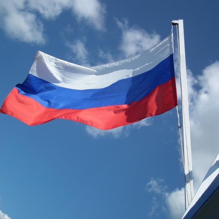 ONU: Rusia şi-a folosit dreptul de veto pentru a bloca o rezoluţie a Consiliului de Securitate condamnând anexările sale din Ucraina