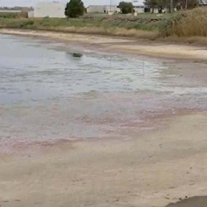 Apele secate ale unui lac din România dezvăluie o adevărată „comoară”. Canicula a făcut „aurul negru” şi mai bun