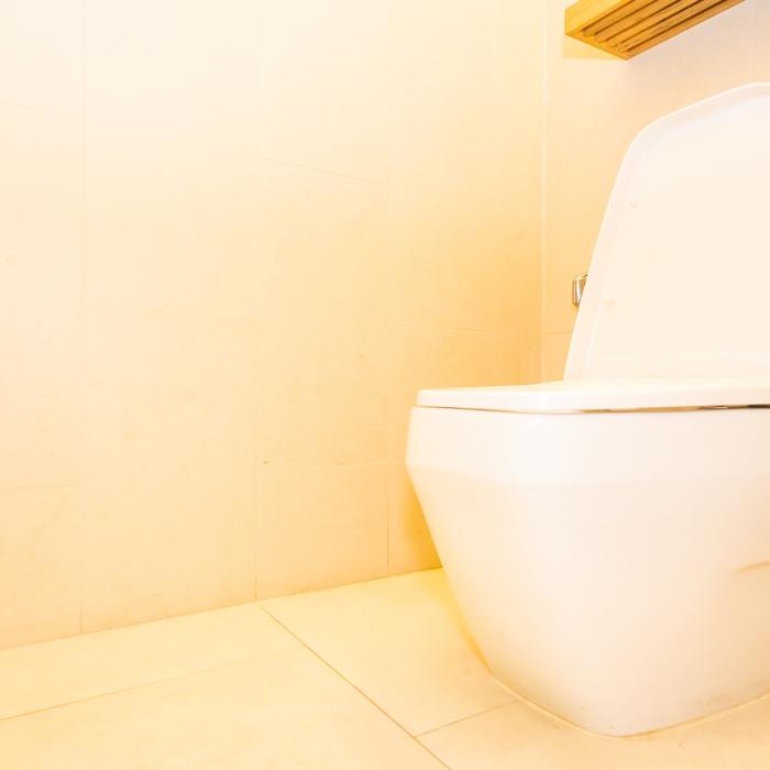 Va trebui să turnați acest amestec în toaletă o dată pe săptămână. Un truc care îți va ușura viața