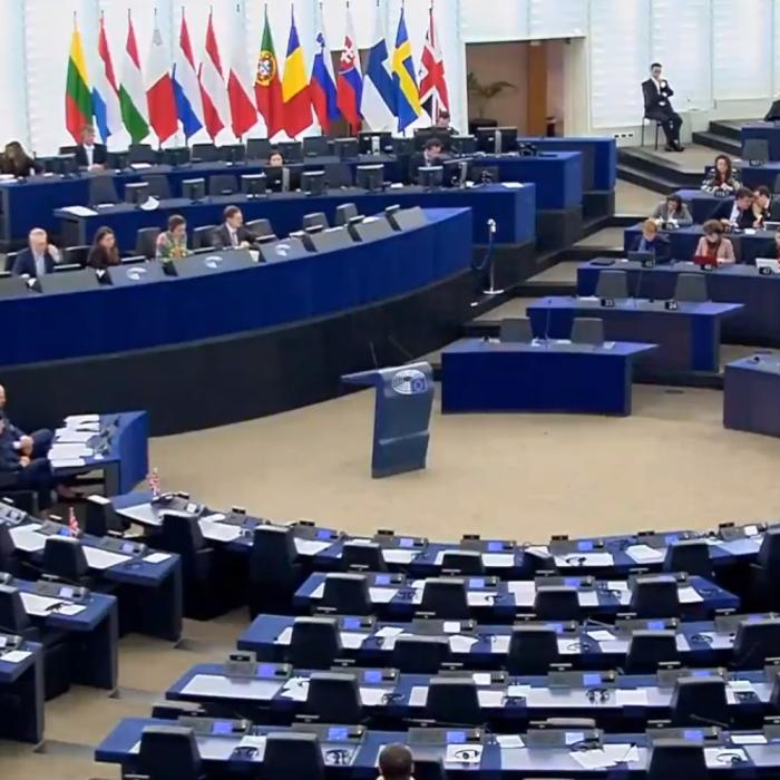 „Mi-e ruşine de cetăţenii bulgari şi români, că nu sunt trataţi în mod egal": Europarlamentarii au cerut primirea Bulgariei şi României în Schengen