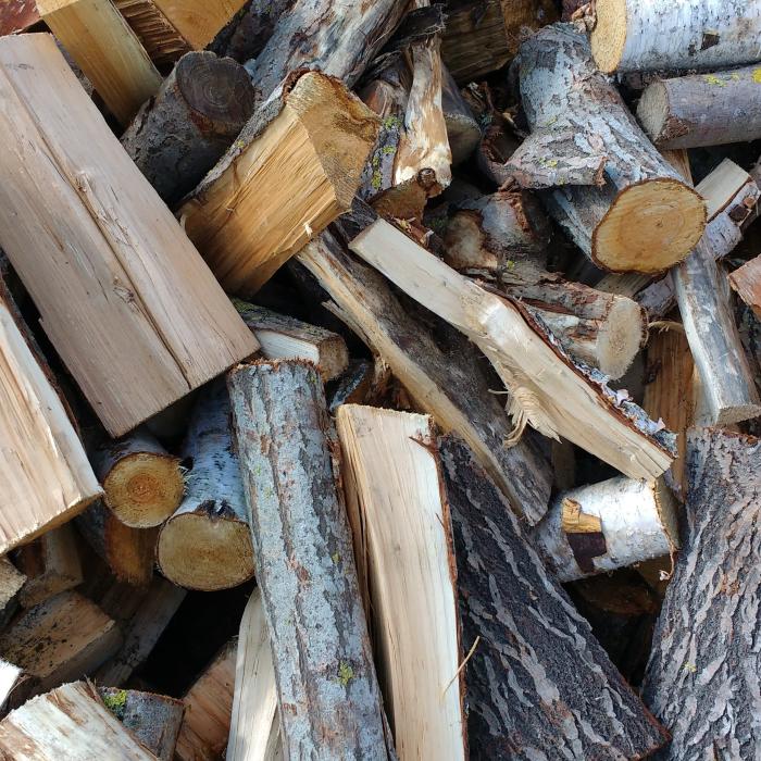 Europenii sunt disperaţi de facturile mari și se îndreaptă spre lemnul de foc pentru a se încălzi