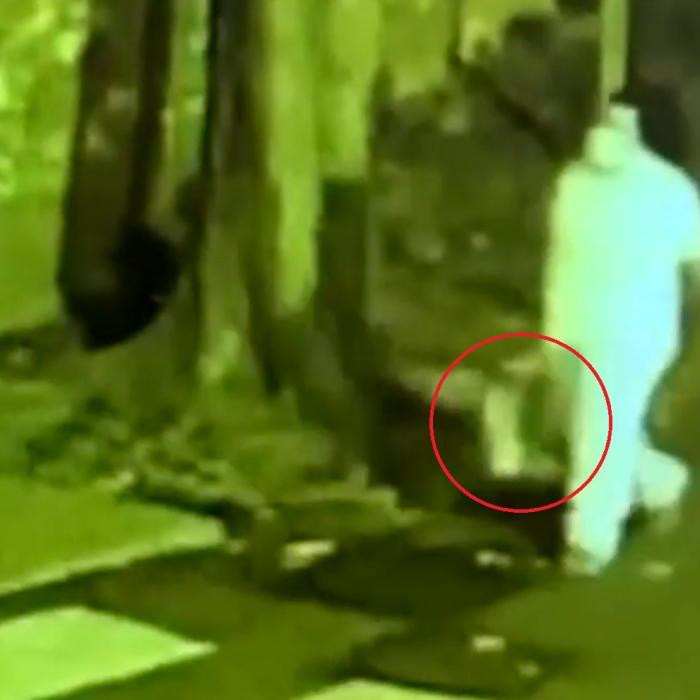 Spania. O femeie deghizată în medic a răpit un bebeluș din maternitate. Micuțul, găsit pe preșul unei locuințe