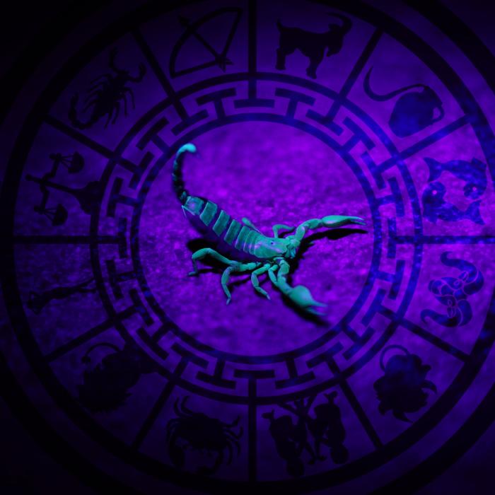 Horoscop 2 noiembrie 2022. Sezonul Scorpionilor aduce multe vești pentru zodii - Previziuni complete