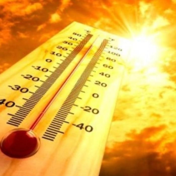 Cel puţin 15.000 de morţi în Europa provocate de valurile de caniculă din 2022, potrivit OMS