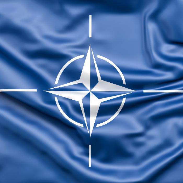 Ce va face NATO dacă Polonia va activa Articolul 4. Ce presupune acest lucru