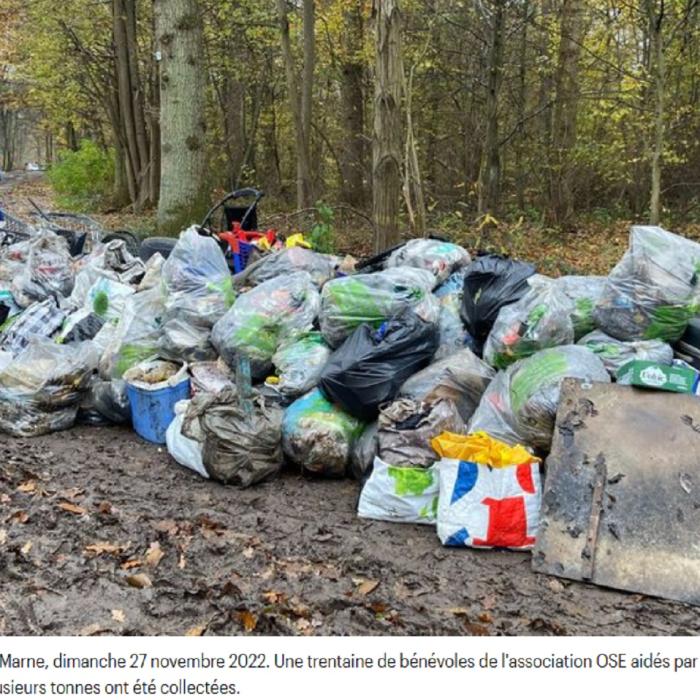 „Sunt extrem de săraci. Le este frică să nu fie expulzați”. Zeci de români au adunat tone de deșeuri dintr-o tabără: „Sunt și copii care locuiesc acolo”