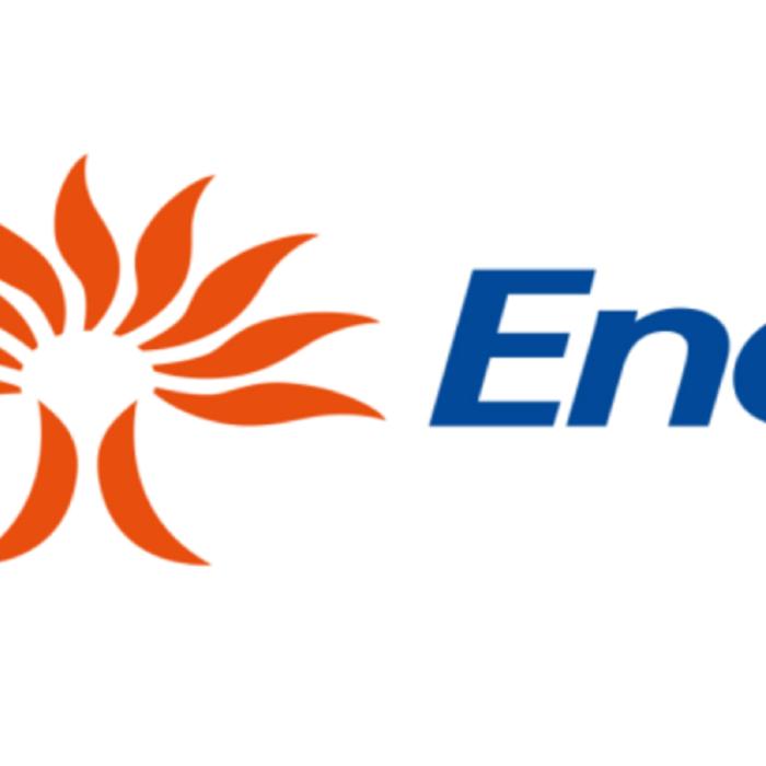 Compania italiană Enel negociază cu compania greacă PPC cesiunea activelor sale în România