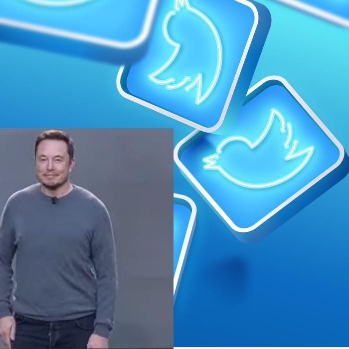 Suspendarea conturilor de Twitter ale unor jurnalişti: ONU denunţă un „precedent periculos”