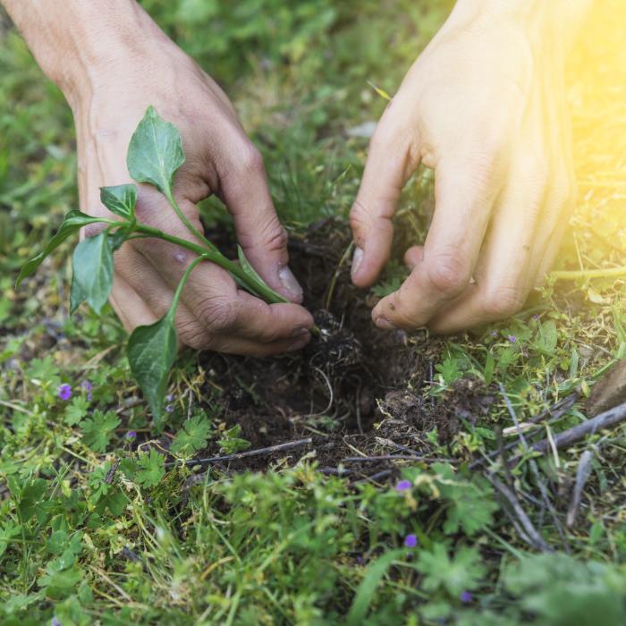 „Muncitorii în agricultură sunt invizibili”. O româncă din Italia rupe tăcerea despre conaționalele care lucrează pe câmpuri: „Hărțuire, șantaj, salarii mici”