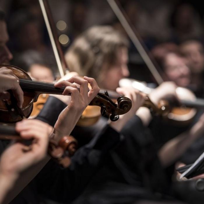 Arestări în Austria în pauza concertului de Revelion