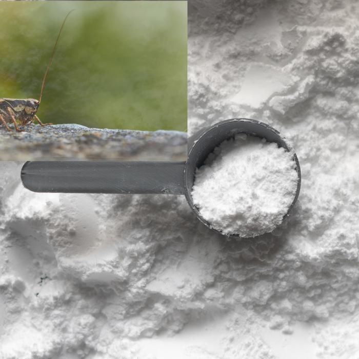 Făina de greieri a apărut în magazinele din România. Costă aproape 100 de lei kilogramul