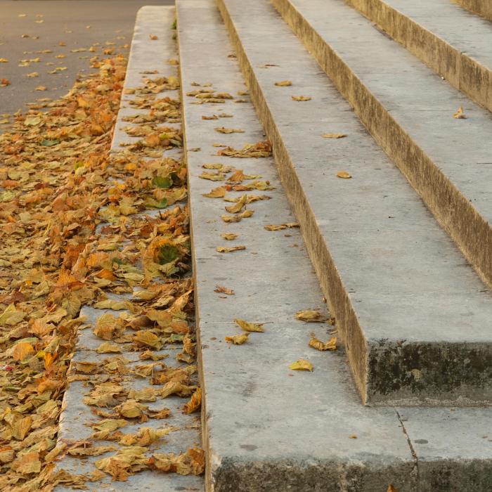 Un bărbat s-a oferit să ajute o mamă cu doi copii să urce scările, iar apoi i-a furat telefonul 