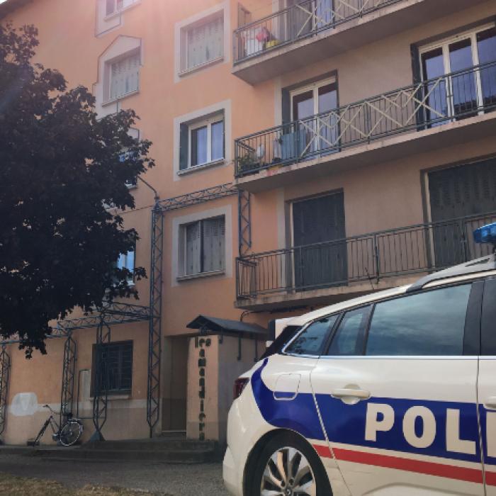 Franța. Jackpot pentru polițiștii chemați la un caz de violență domestică: "Românul" agresiv, un infractor cibernetic foarte vânat