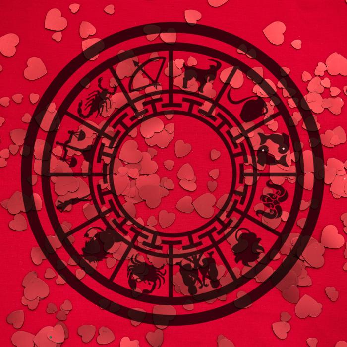 Horoscop special. Ce complimente iubește partenerul tău să audă, în funcție de zodie