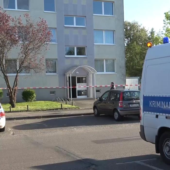O femeie din Germania locuiește cu 800 de șobolani în casă. Vecinii au sunat la poliție 