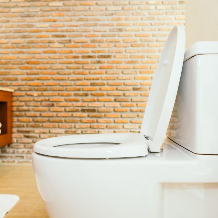 Pune acest amestec din două ingrediente în toaletă, înainte de a merge la culcare. Un truc de aur! Notează-l chiar acum. Vă va face viața mai ușoară