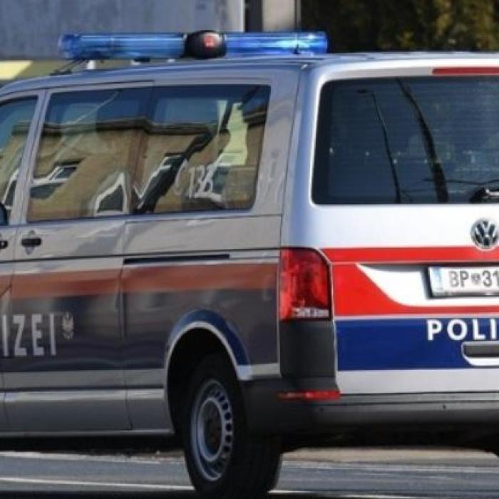Austria. Un român a furat tablouri de 500.000 de euro. În calitate de muncitor casnic și grădinar, a avut acces nelimitat în spațiul privat al familiei