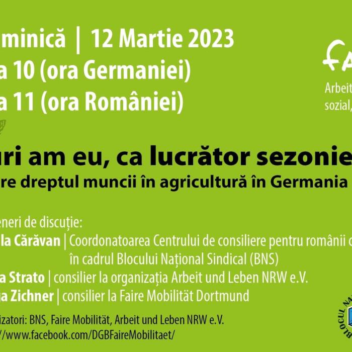 BNS, sesiune de informare pentru românii care vor să lucreze sau lucrează deja în Germania