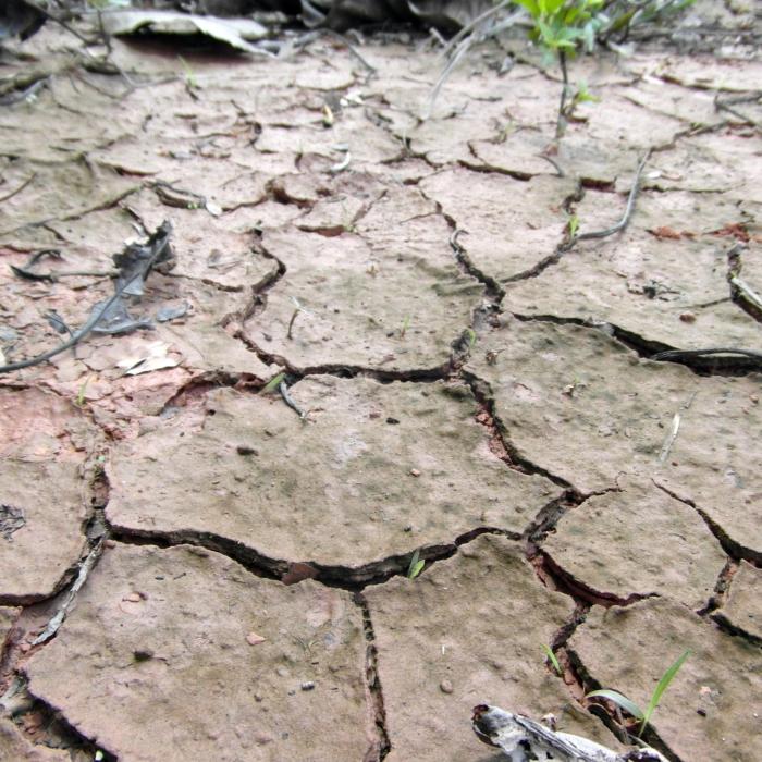 Europa, în pragul unei secete catastrofale anul acesta: Raportul Comisiei Europene