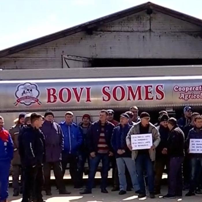 Fermierii români protestează: Vor să răstoarne o cisternă cu 6.500 de litri de lapte, disperaţi că nu mai au cui să-l vândă