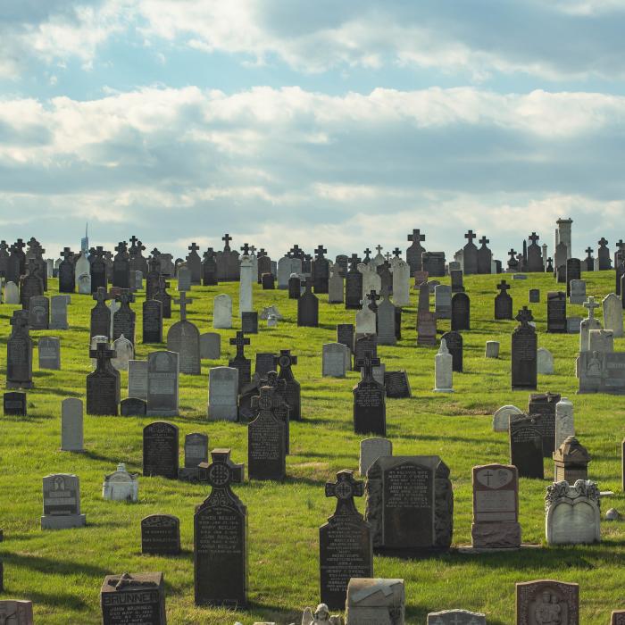 Nu mai sunt locuri în cimitirele din Ucraina. Rămășițele românilor îngropați în cimitirul din Cernăuți, scoase; criptele - scoase la licitație