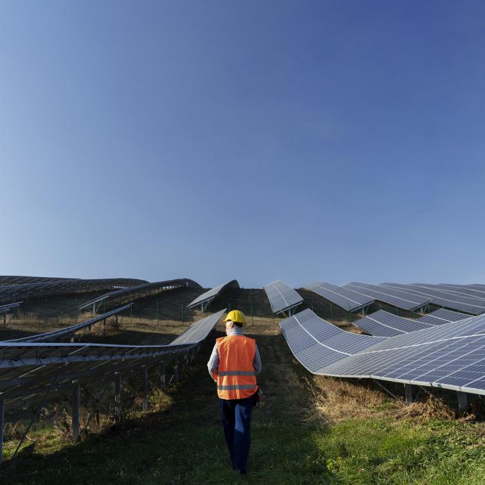 Patru români, buni de plată în Belgia. Trebuie să despăgubească parcurile cu panouri solare cu 565.000 de euro. Ce au făcut indivizii