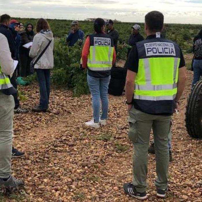 Spania. Fals patron român, acuzat că a exploatat 12 conaționali: "Zile de lucru maraton, fără un orar stabilit, plătiți la bucată"